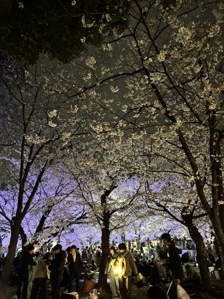 About Me — Your Japanese Neighbor, An