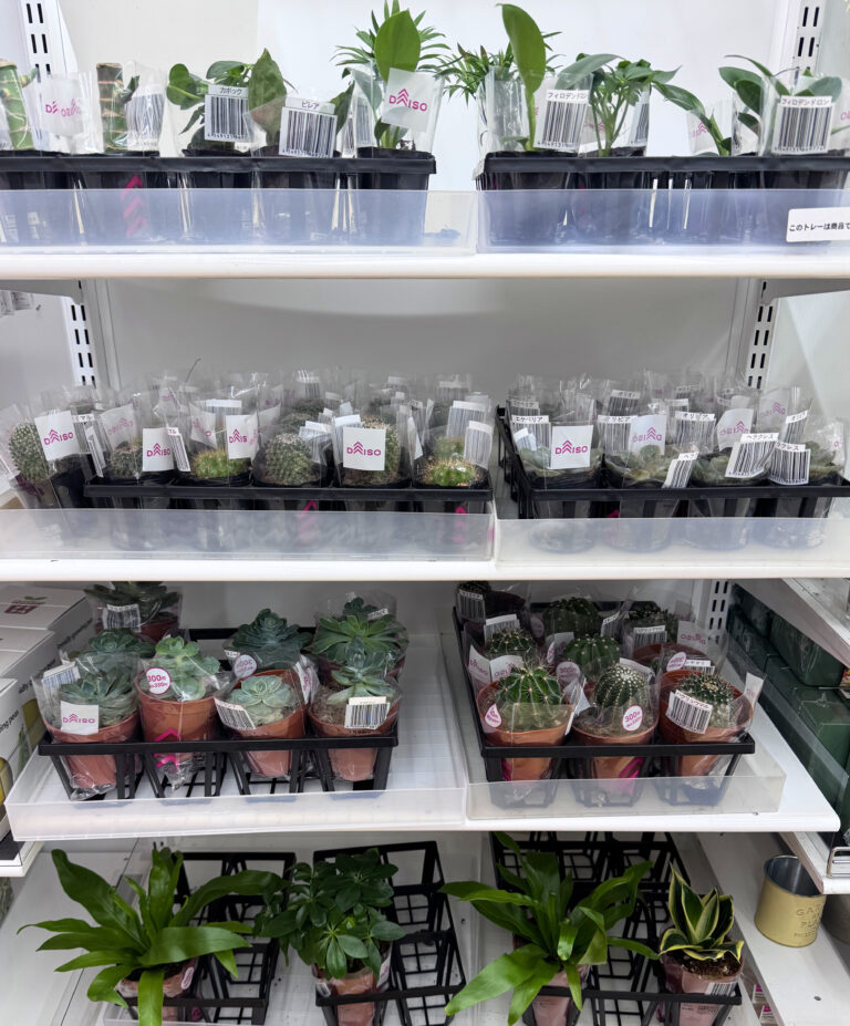 Daiso Never Stops Surprising Me: 4 Things I Found Today That Only Exist in Japan