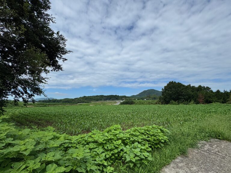 Kumamoto Earthquake 2026: A Message of Hope from Nagoya
