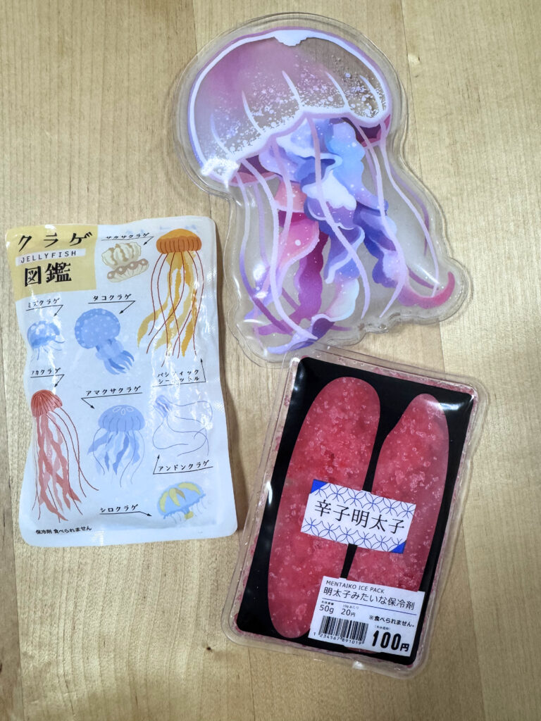 Japanese Ice Packs: The Cute, Clever Bento Essential You Never Knew You Needed
